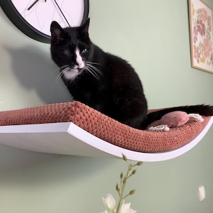 Cat Shelf Wall Mounted Floating Wooden  Perch Bed With  Removable and Washable Cushion cover, Premium Furniture