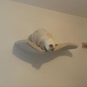 Invisible Fastening Cat Wall Shelf - Easy to Clean & Super Secure Design image 14