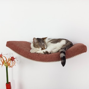 May include: A curved, wall-mounted cat hammock featuring a textured, rust-colored fabric surface with a cream-colored trim. A brown and white tabby cat is curled up and sleeping on the hammock, which is positioned against a plain white wall.