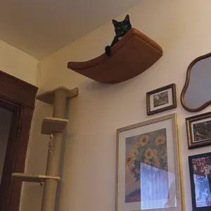 May include: A black cat sits on a curved, brown, wall-mounted cat shelf. Next to the shelf is a vertical cat tree with multiple platforms. The wall is decorated with several framed pictures and a mirror, creating a functional pet space.