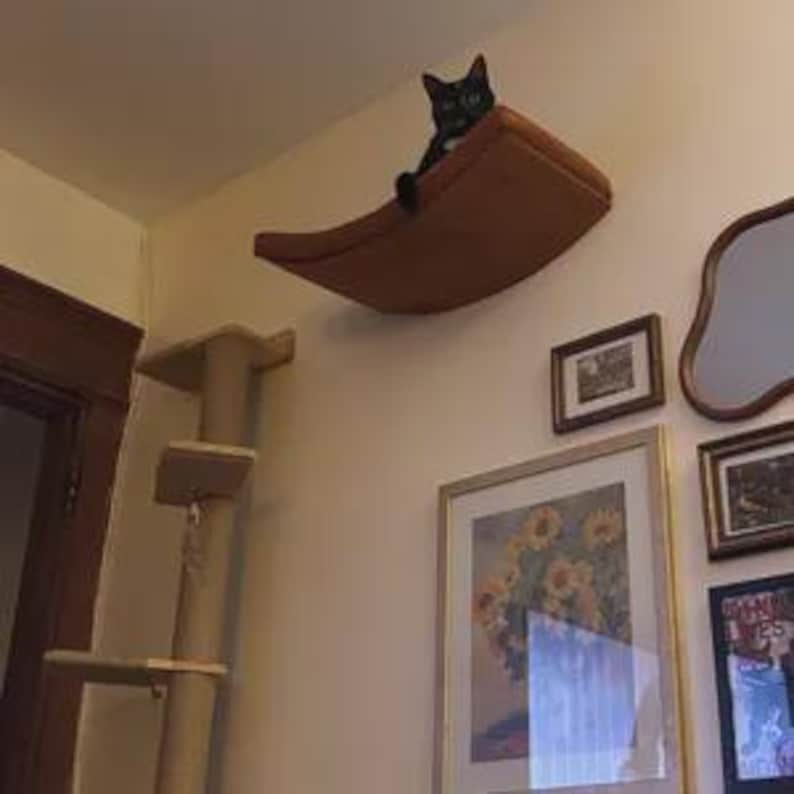 May include: A black cat sits on a curved, brown, wall-mounted cat shelf. Next to the shelf is a vertical cat tree with multiple platforms. The wall is decorated with several framed pictures and a mirror, creating a functional pet space.