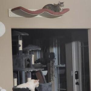 Large Cat Wall Shelf – Treat Your Kitty to a Cozy Hammock! image 12