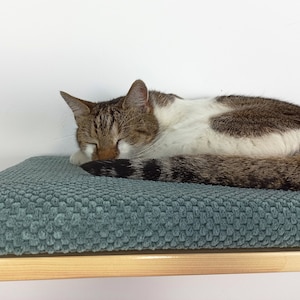 May include: A tabby and white cat sleeping on a light blue, textured cat bed. The bed is attached to a wooden shelf.