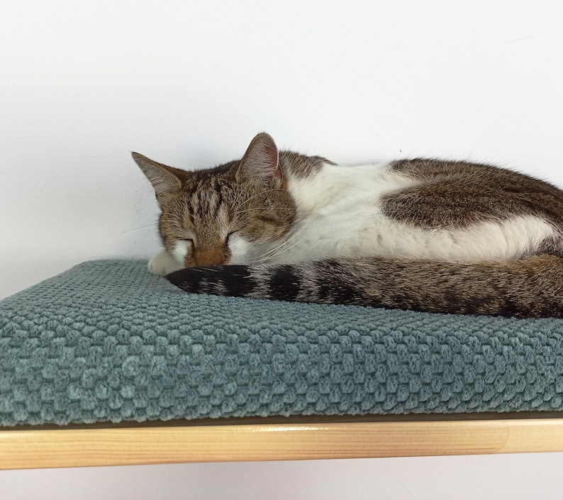 May include: A tabby and white cat sleeping on a light blue, textured cat bed. The bed is attached to a wooden shelf.
