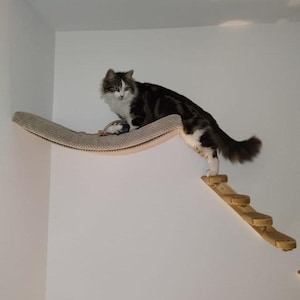 Space-Saving Cat Perch with Removable Cushion - Wall Mount Pet Bed image 15