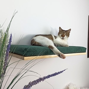 Étagère murale en bois pour chat, lit flottant avec oreiller, couchage solide, coussin amovible et lavable, meubles de qualité