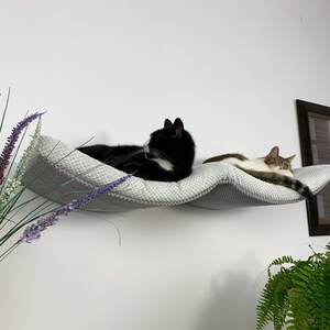 May include: Two cats napping on a gray, wave-shaped cat bed mounted on a white wall. The bed is made of soft, textured fabric.