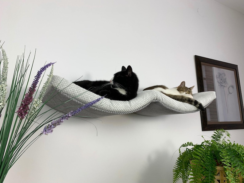 May include: Two cats napping on a gray, wave-shaped cat bed mounted on a white wall. The bed is made of soft, textured fabric.