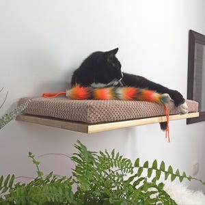 May include: A black cat with white paws lies on a beige cat bed with a colorful feather toy hanging off the side. The cat bed is mounted on a wooden shelf attached to a white wall.