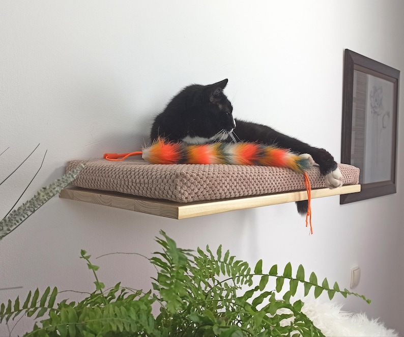 May include: A black cat with white paws lies on a beige cat bed with a colorful feather toy hanging off the side. The cat bed is mounted on a wooden shelf attached to a white wall.
