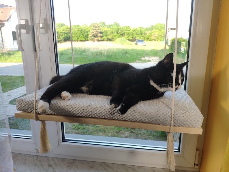 Window Cat Perch, Hanging Bed With Washable Cushion, Solid Cat Shelf - Etsy