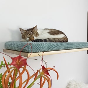 May include: A light blue cat bed with a brown wooden shelf. A tabby cat is sleeping on the bed.