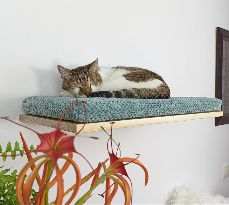 May include: A light blue cat bed with a brown wooden shelf. A tabby cat is sleeping on the bed.
