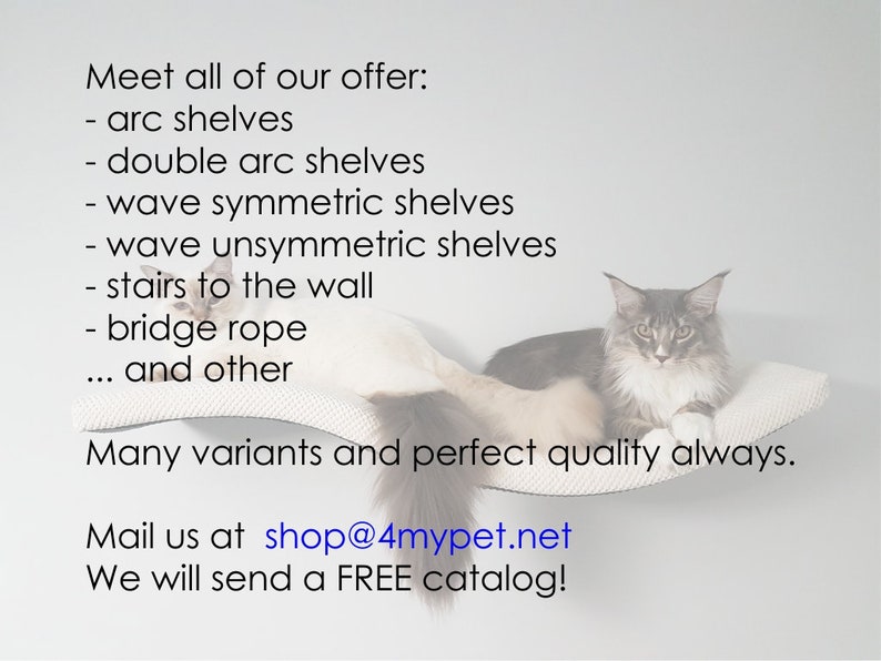 K&ouml;nnte beinhalten: Eine wei&szlig;e Katze sitzt auf einem gebogenen Katzenregal, das an einer Wand befestigt ist. Der Text an der Wand lautet: "Meet all of our offer: - arc shelves - double arc shelves - wave symmetric shelves - wave unsymmetric shelves - stairs to the wall - bridge rope ... and other Many variants and perfect quality always. Mail us at shop@4mypet.net We will send a FREE catalog!"