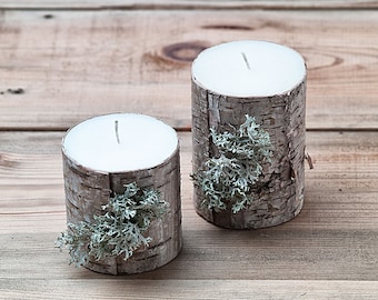 Paraffin candle set with natural birch tree bark and dried lichen, birch candle set of 2, rustic wedding centerpiece, country house decor