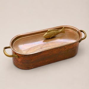 May include: An oval copper fish poacher with a lid featuring a brass fish-shaped handle. The vessel has two brass side handles and a polished copper finish. The body is elongated and deep, designed for cooking whole fish, with a metallic sheen.