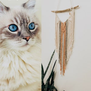 May include: A white, beige, and peach macrame wall hanging with a wooden dowel at the top. The macrame is made with a variety of knots and textures.