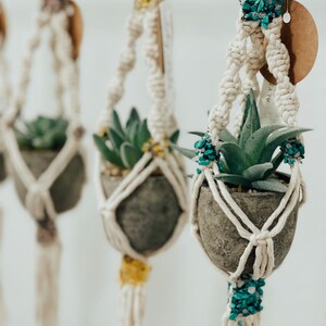May include: Three macrame plant hangers with small potted succulents. The hangers are made with white cord and feature turquoise and yellow accents.