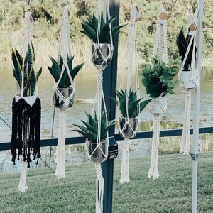 May include: A collection of six macrame plant hangers with various plants in pots. The hangers are made of white cord and have a tassel at the bottom. The plants are in different sizes and types, including snake plants, succulents, and ferns. The hangers are hanging from a metal rack.