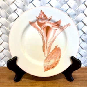 May include: A white ceramic plate with a brown seashell design. The plate is on a black stand.