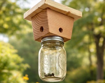 Carpenter bee traps