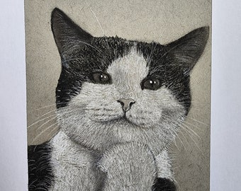 Cat Art Charcoal Drawing