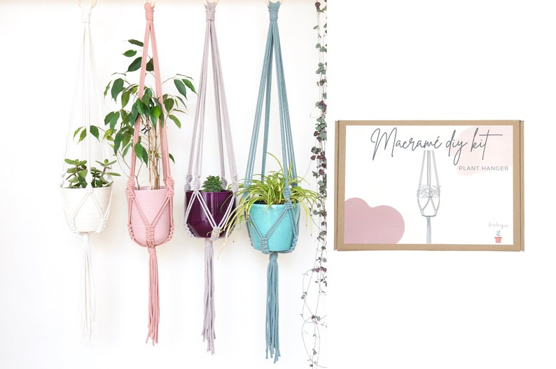 May include: Four macrame plant hangers in different colors, hanging from the ceiling with plants in pots. The hangers are made of cotton cord and have a tassel at the bottom. The box in the background says "Macrame DIY Kit Plant Hanger".