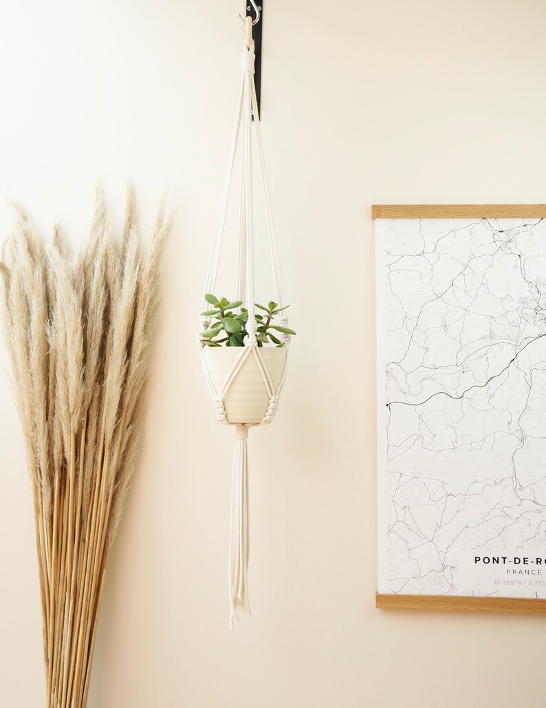 May include: A white macrame plant hanger with a small potted plant hanging from it. The hanger is attached to a hook on a white wall. There is a dried pampas grass bouquet to the left of the hanger and a framed map of Pont-de-Roide, France to the right.