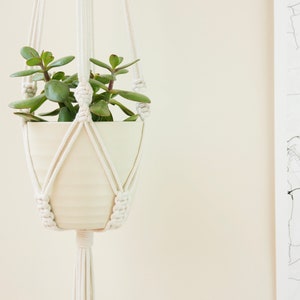 May include: A white macrame plant hanger with a white ceramic pot and a green succulent plant.
