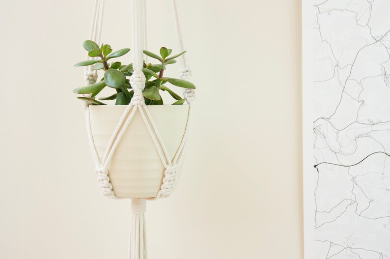 May include: A white macrame plant hanger with a white ceramic pot and a green succulent plant.
