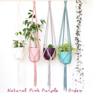 May include: Four macrame plant hangers with different colored cords: natural, pink, purple, and green. Each hanger holds a potted plant.