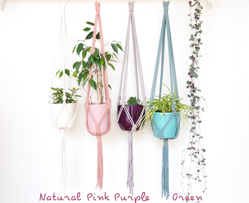 May include: Four macrame plant hangers with different colored cords: natural, pink, purple, and green. Each hanger holds a potted plant.
