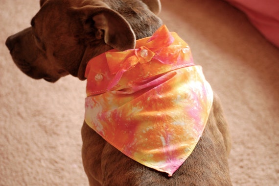 orange dog bandana