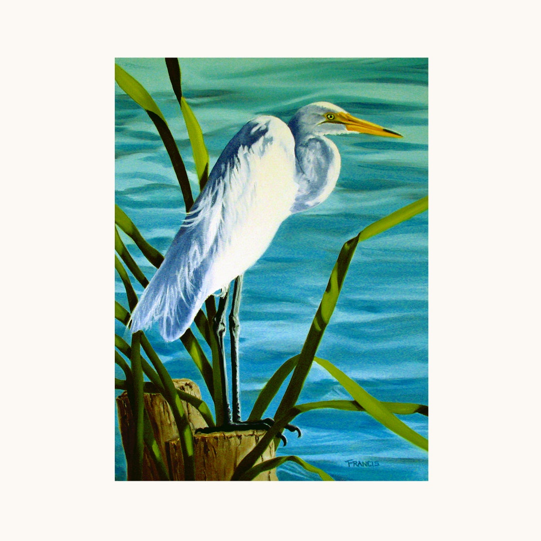 GREAT EGRET Fine Art Print 3.5"x2.5", 7" X 5" or 10" X 8", Craggy Pier ...
