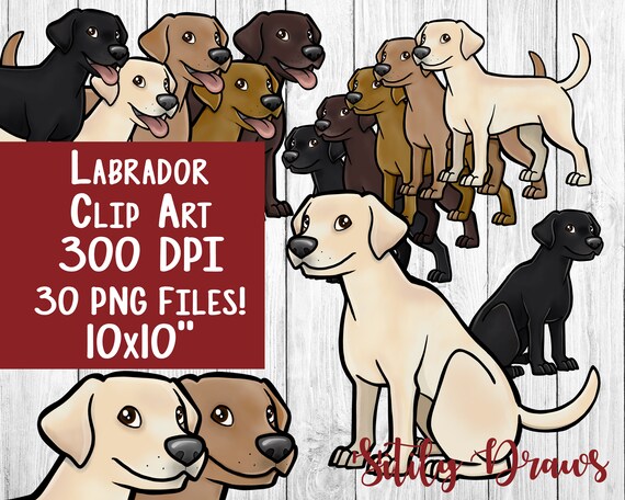 Labrador clipart yellow buff black chocolate lab clip art instant digital download sitting standing cute dog puppy designs 30 files