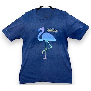 May include: A blue t-shirt with a flamingo design and the words "Flamenco Galapagos Ecuador". The flamingo is in blue, pink, and green. The shirt has short sleeves and a round neck.