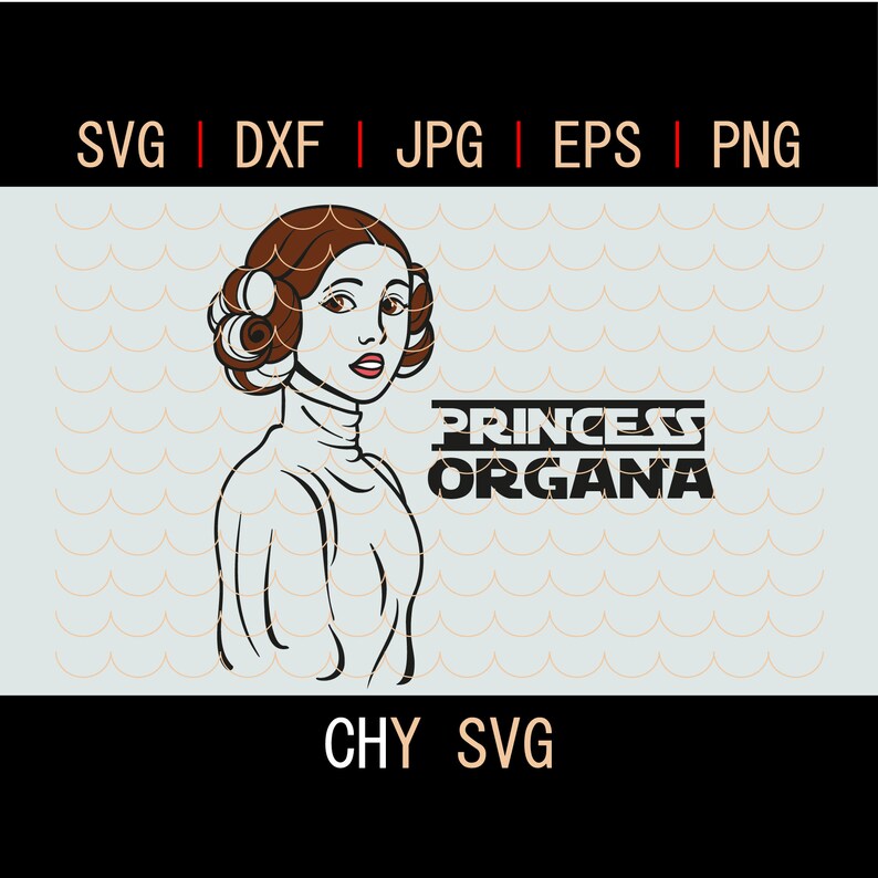 Free Free 170 Princess Leia Svg SVG PNG EPS DXF File