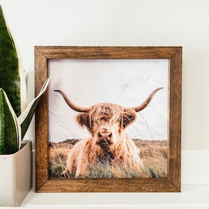 Puede incluir: Un marco de madera marr&oacute;n con una fotograf&iacute;a de una vaca Highland con pelo largo y peludo. La vaca est&aacute; mirando directamente a la c&aacute;mara con sus cuernos apuntando hacia afuera. El fondo es un campo de hierba verde.