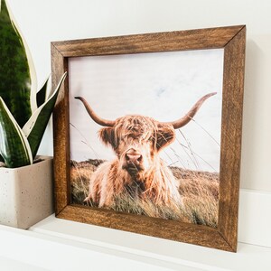Puede incluir: Una impresi&oacute;n enmarcada de una vaca Highland con un pelaje largo, marr&oacute;n y peludo y grandes cuernos. La vaca est&aacute; de pie en un campo de hierba alta. El marco es de madera oscura.