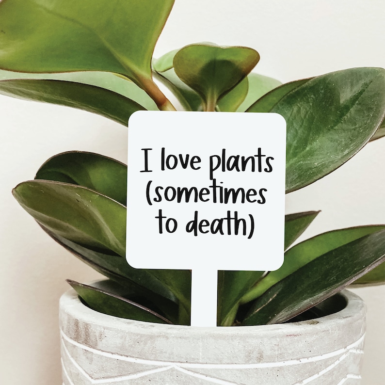 Funny Plant Markers Multiple Styles, Funny Plant Sign, Plant Markers, Garden Markers, Garden Stakes, Acrylic Garden Markers, Friend Gift Love Plants To Death