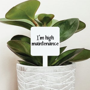 Funny Plant Markers Multiple Styles, Funny Plant Sign, Plant Markers, Garden Markers, Garden Stakes, Acrylic Garden Markers, Friend Gift High Maintenance