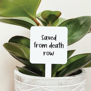 Funny Plant Markers Multiple Styles, Funny Plant Sign, Plant Markers, Garden Markers, Garden Stakes, Acrylic Garden Markers, Friend Gift Saved From Death Row