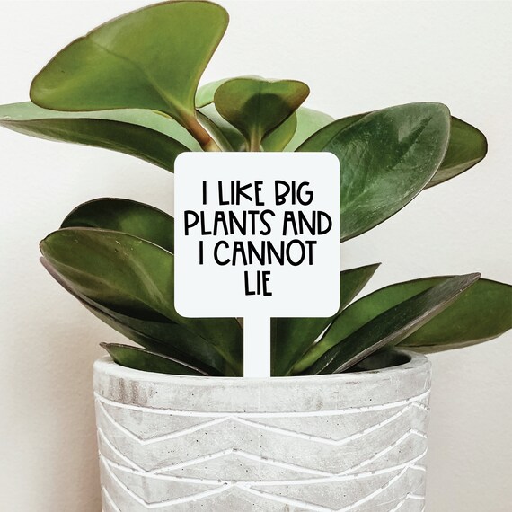 I Like Big Plants And I Cannot Lie Plant Marker Funny Plant Etsy.de