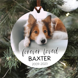 Pet Memorial Ornament with Photo, Pet Loss Ornament, Pet Portrait Ornament, Dog Memorial Ornament, Cat Memorial Ornament, Pet Loss Keepsake