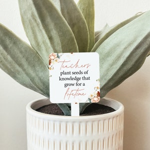 Teacher Plant Stake (Multiple Styles), Teacher Gift, Educator Gift, Plant Marker, Teacher Garden Stake, Teacher Plant Gift, Gift For Teacher