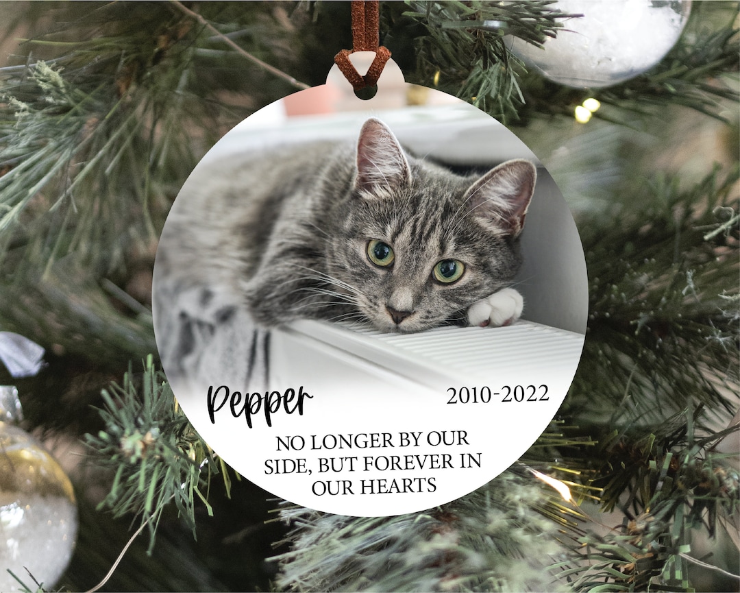 Customizable Pet Ornament, Cat Memorial Ornament, Personalized Pet Gift