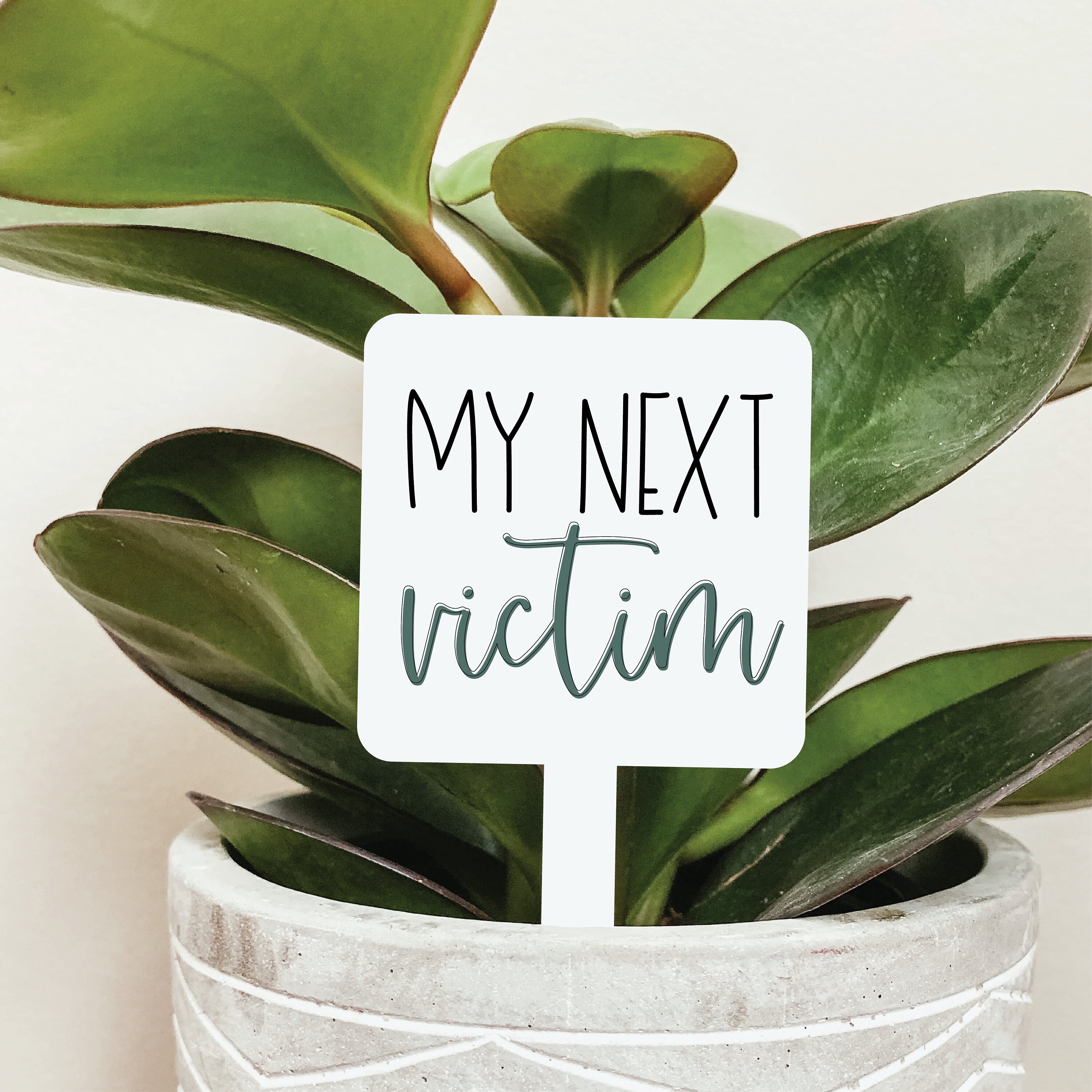 My next victim planter