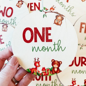 Cartes d'étape mensuelles pour bébé, ensemble d'étapes importantes pour bébé des bois, disques en bois d'étapes mensuelles, cadeau de baby shower bohème, plaques d'étapes mensuelles
