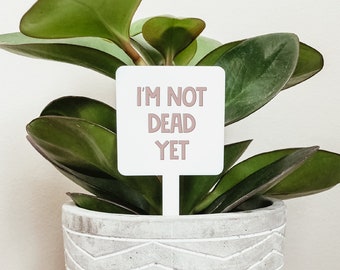 Im Not Dead Yet Etsy Canada Im Not Dead Yet Etsy Canada