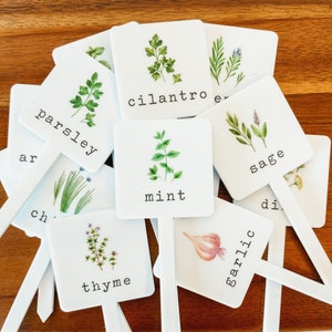 May include: White plant markers with illustrations of herbs and the names "parsley", "cilantro", "mint", "sage", "thyme", "garlic", and "dill".